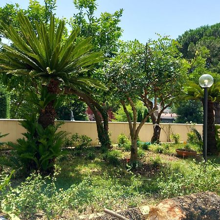 Villa Maria Cristina D'Amico Cava De' Tirreni Exterior photo